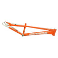 Orange/White