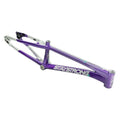 Purple/Silver