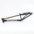 Staystrong V4 Frame Expert XL Cruiser