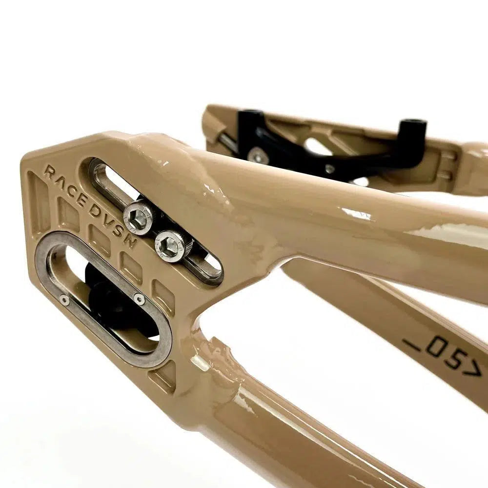 Close-up of the Staystrong V5 Disc Pro XXL Cruiser Frame in beige, showing the rear dropout with bolts, RACE DVSN branding, disc brake mount, and space for a derailleur hanger or axle.