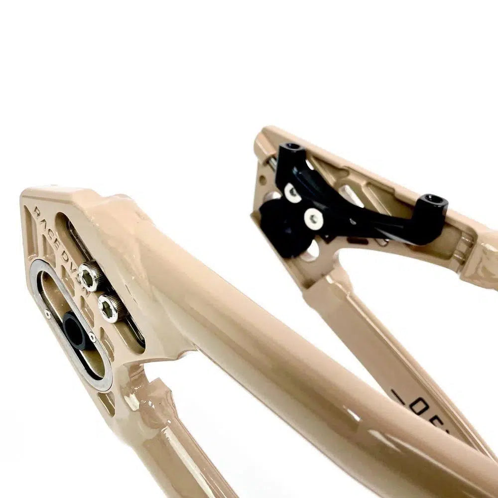Close-up view of the Staystrong V5 Disc Pro XXL Cruiser Frame in beige aluminium, showcasing its rear dropouts and disc brake mount.