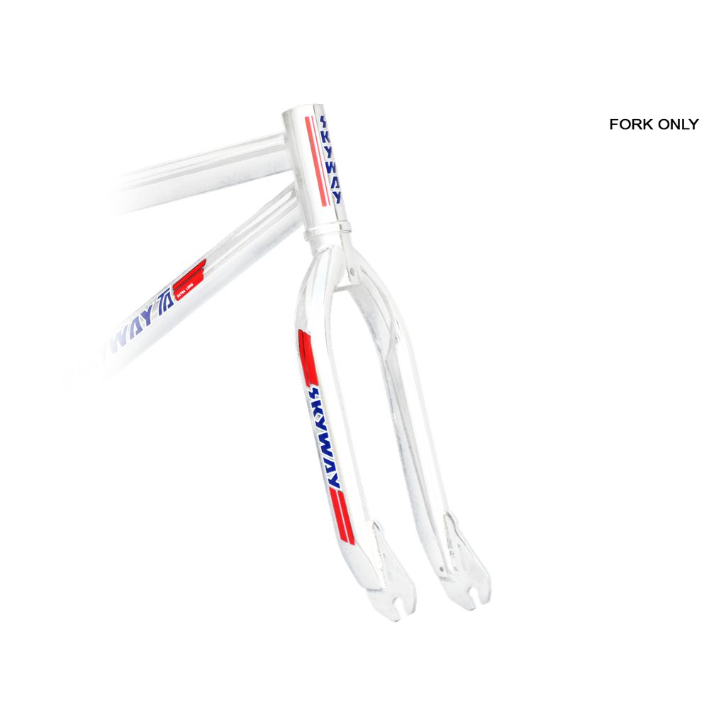 A Skyway TA 20 Replica Forks bicycle frame with red, white and blue stripes, featuring chromoly construction.